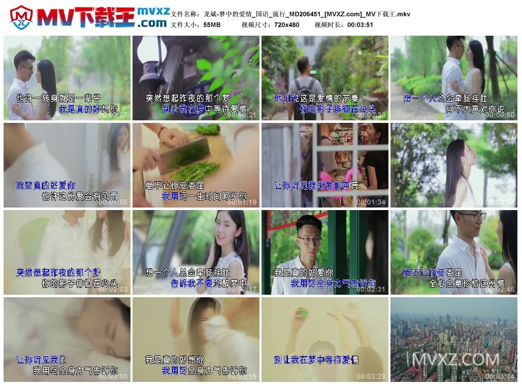 龙斌-梦中的爱情_国语_流行_MD206451